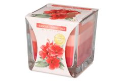 Kolmiväriset tuoksukynttilät lasissa hibiscus-white sage