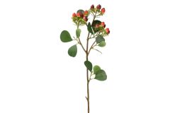 Kuisma marjaoksa 63 cm