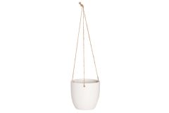 Amppeli 15 cm