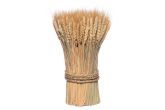 Vehnäkimppu seisova natural 30 cm