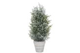 Kuusi ruukussa luminen 50 cm