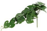 Peikonlehti köynnös 54 cm