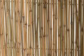 Bambuaita 2x3m