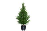 Sypressi 90 cm